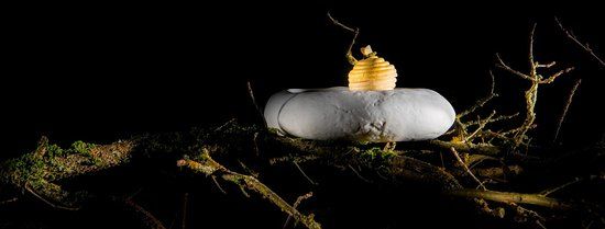 Jeremy Galvan Restaurant